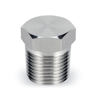 Alloy 20 Socket Weld Hex Plug