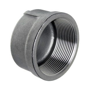 Duplex Steel UNS S31803/S32205 Threaded Pipe End Cap