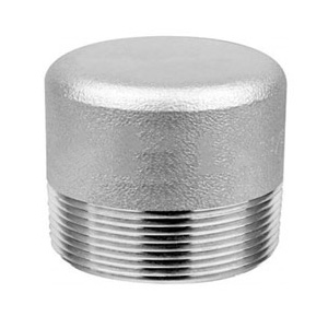 Duplex Steel S31803 / S32205 Socket Weld Round Plug