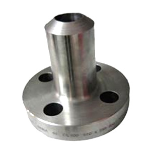 Stainless Steel 304 Nipolet Flanges