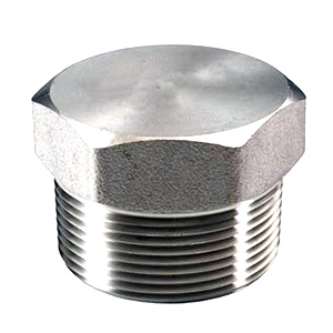 Titanium Alloy Gr.2 Threaded Plug